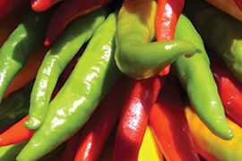 3 Days NM chiles