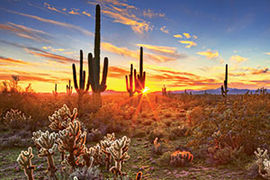 Arizona sky landscape