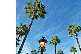 Anaheim Disney Skys