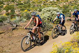 Arizona mountain and desert trail