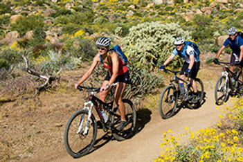 Arizona mountain and desert trail