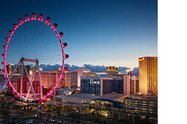 High Roller yoga