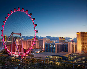 High Roller yoga