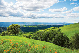 Mount Diablo in Concord countryside