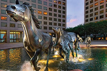 Mustangs of Las Colinas