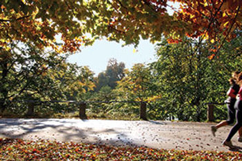 Wine region trail