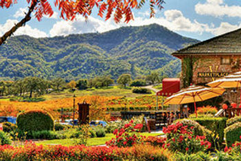 Fall in Napa