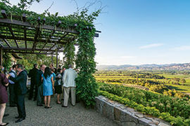 Napa Valley winery party