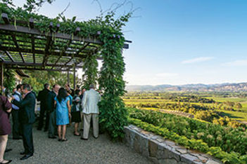 Napa Valley winery party