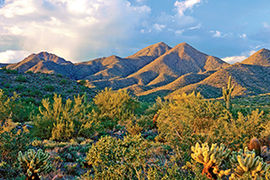 Scottsdale desert sky