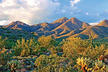 Scottsdale desert sky