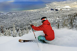 Action skier stock