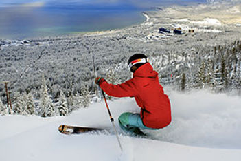 Action skier stock