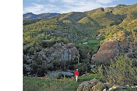 Ventana Canyon