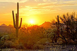 Arizona Event Venues Are Getting Updated