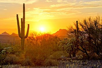 Arizona Event Venues Are Getting Updated