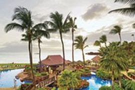 Maui: Island in the Sun
