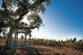 California's Hotel Boom
