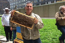Andrew Cote beekeepers