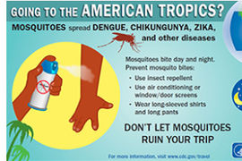 The Who, What, Where, Why, and How About Zika