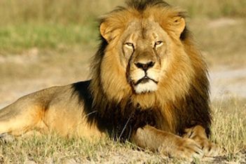 Cecil the Lion