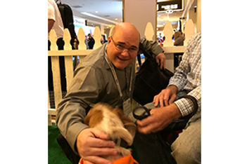 Paws for Break IMEX