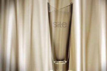 SITE Names 2015 Crystal Awards Recipients