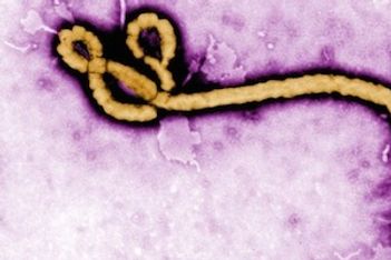 Ebola Virus