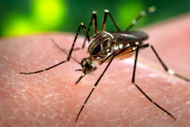 U.S. Travel Association, Business Travel Coalition Respond to Zika Concerns