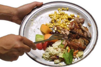 food waste - 370