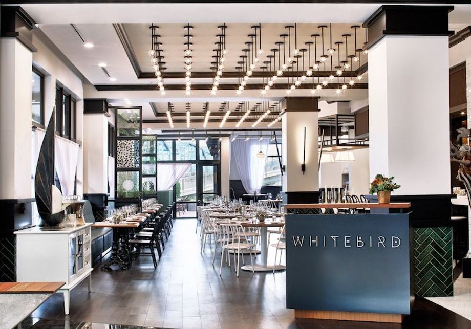 whitebird-chattanooga