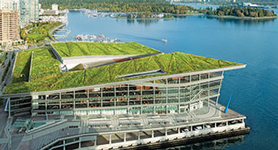 Green Rooftop