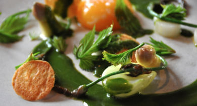 fresh food - 370
