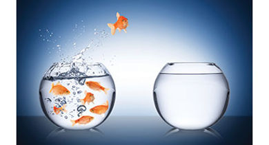 10 Tips for Leading Change opener