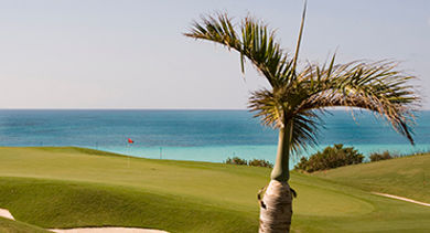 Bermuda golf course