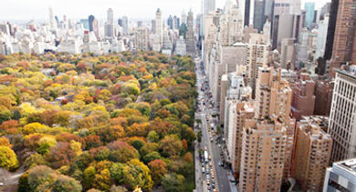 toptier nyc 1 toptier nyc 1