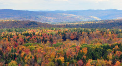 The Top 10 Fall Travel Destinations in the United States