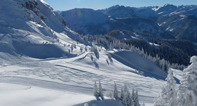 whistler - 370