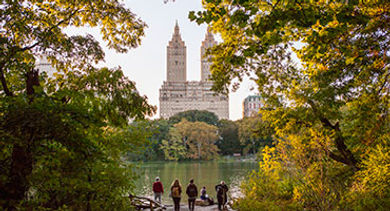 NYC Central Park view NYC Central Park view