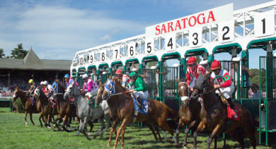 saratoga horses - 370