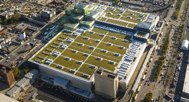 green roof javits - 370