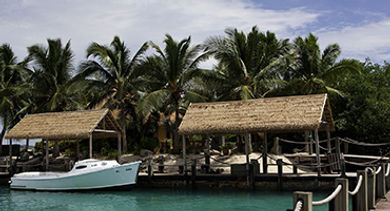 Aruba Renaissance private island