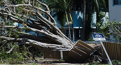 Hurricane Irma pic