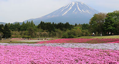 mt fuji japan 1 mt fuji japan 1