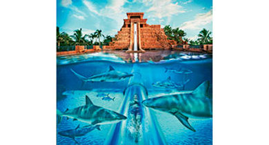 Atlantis 20th anniversary Atlantis 20th anniversary