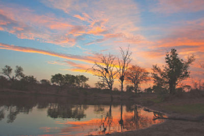 south africa