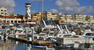 los cabos odile