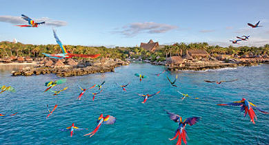 Natural Surroundings of Riviera Maya
