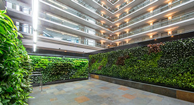 cleveland living wall cleveland living wall