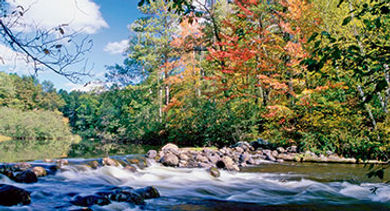 Wisconsin lush backdrop